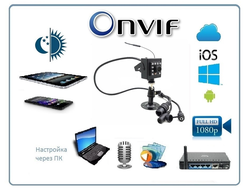 Охранная IP WiFi-LAN видеокамера с ночным видением и аудиоканалом, встроенный DVR. Full HD (CamHi)