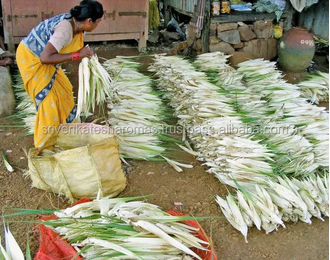 Панданус ароматнейший (Pandanus odoratissimus) 1 г - 100% натуральное эфирное масло