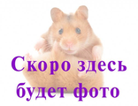 Пайетки #I.13 Andrea Bilics (Андреа Биликс) 2 гр