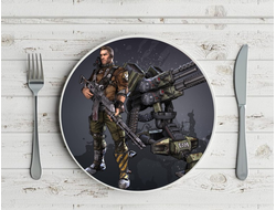 Тарелка Borderlands, Бордерленд №14