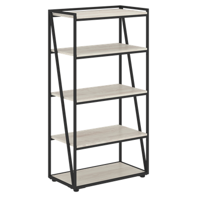 Сосна Эдмонт