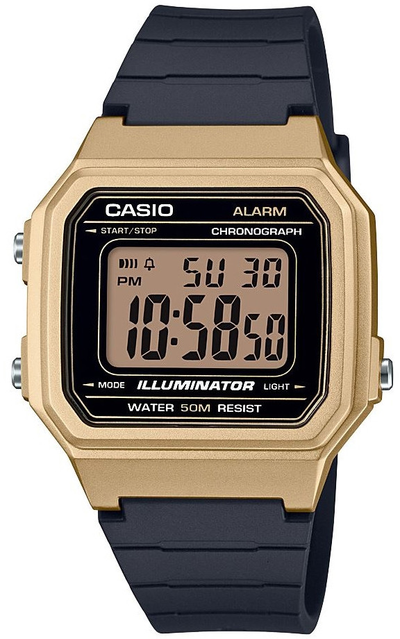 Часы Casio W-217HM-9A