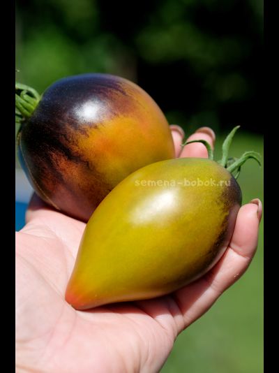 Томат Сладкое Трюфельное Сердце