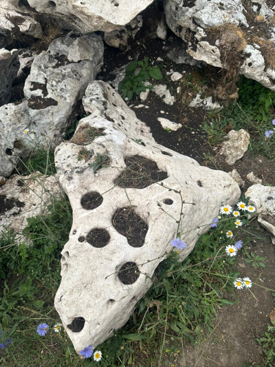 Известняк плоский степной, фракция 150-3000 мм