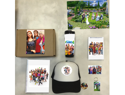 Бокс The Sims, Симс №3