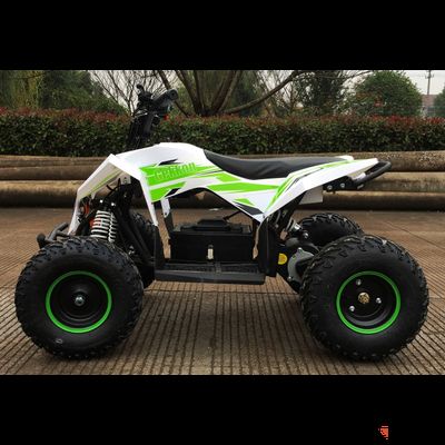 Электроквадроцикл Motax GEKKON 1300W белый