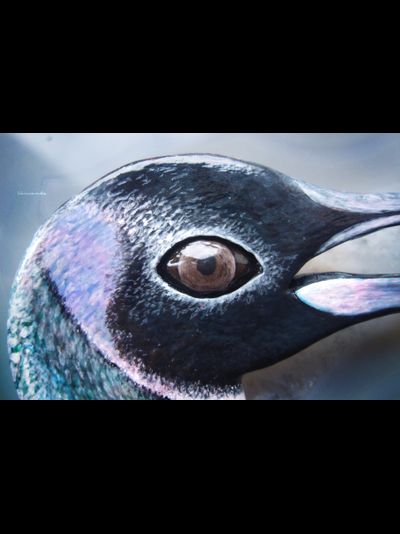 "Ледяной Пингвин Полярных Шаманов", волшебная брошь с изумрудом