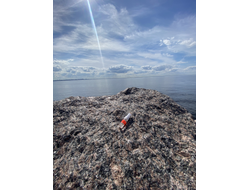 Духи НОТА: МУЖСКАЯ КОЖА 3,5 мл