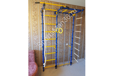 ДСК ЮНЫЙ АТЛЕТ МОДЕЛЬ «ПРИСТЕННЫЙ-ЛАЙТ» С РУКОХОДОМ И СЕТКОЙ, цвет металла синий