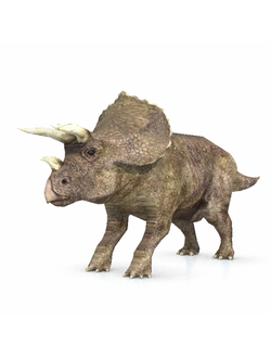 динозавры Трицератопс