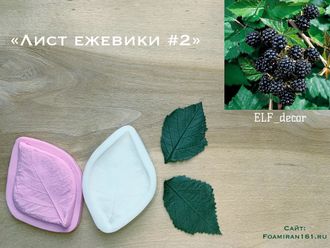 Молд + силиконовый вайнер «Лист ежевики #2» ( ELF_decor)