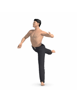 балерины Балерун