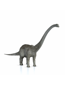 динозавры Динозавр диплодок