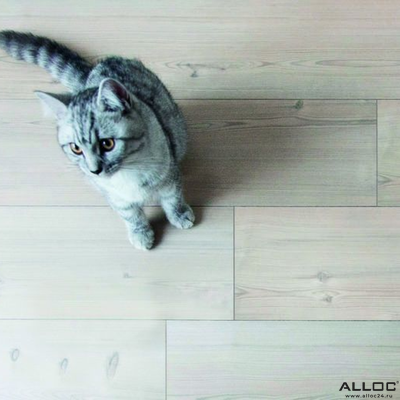 Ламинат Alloc Original Сосна Белая 05201 34 класс толщина 11 мм с фаской и подложкой 1.912 м2