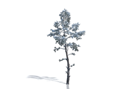 Создание щитов Billboards для Artlantis 5 - Artlantis 2021 (по вашей текстуре в формате png, tif, tga и т.п. с маской прозрачности)