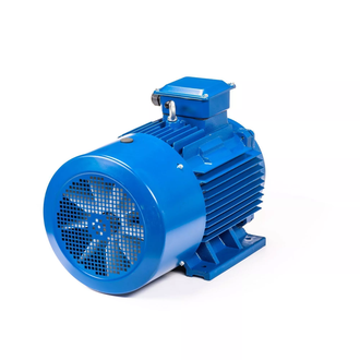 Электродвигатель 5АИ 200L2 (45 кВт) IM 1001