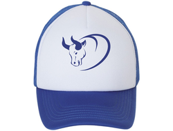 Кепка с символикой "Быка" №14