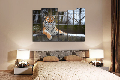 Модульная картина "Спокойный тигр"