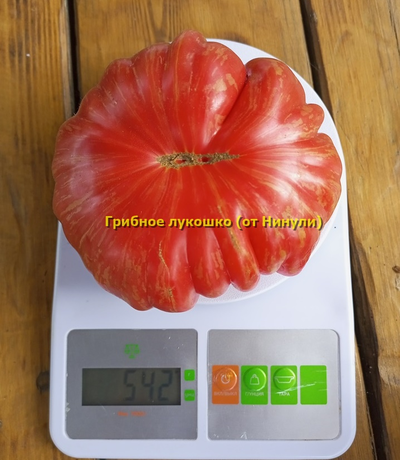 Томат Грибное лукошко полосатое