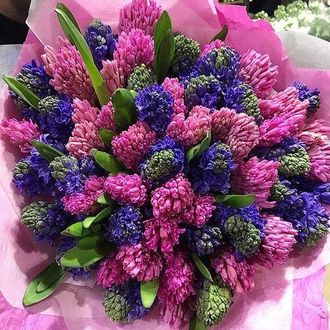 Букет из 51 гиацинта