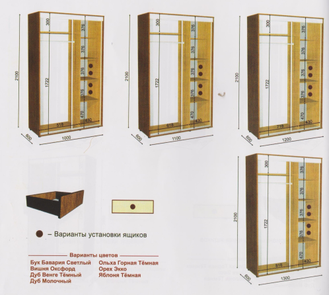 Шкаф купе 1000х600х2100