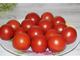 Camone scuro a pinta (Италия)