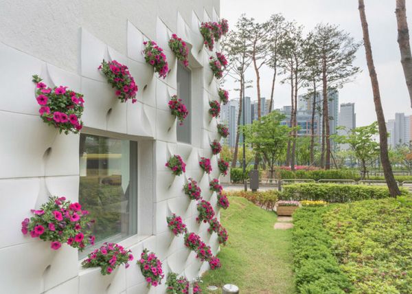 необычное архитектурное озеленение стен