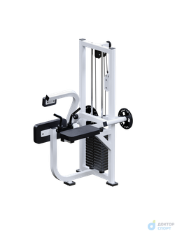 Бицепс +Трицепс + Пресс