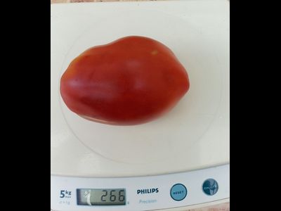 Томат Новозеландский розовый (New Zealand Pink Paste)