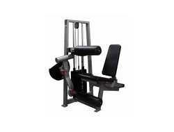 Сгибание-разгибание ног сидя 2 в 1 100 кг AV216/80