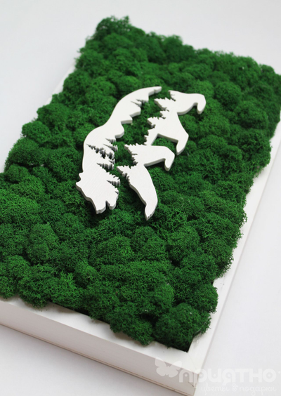 ЖИВАЯ ЭКО-КАРТИНА 1039