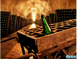 Абрау-Дюрсо (индивидуально)