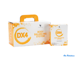 Dx4 Система балансировки тела