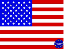 Виза в США в Москве!