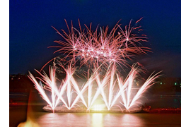 Бураки - парковые фейерверки | Neva-Salut Пиро Шоу