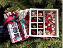 Корпусные конфеты 8шт и шоколадная плитка