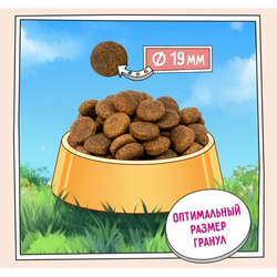 ZILLII Adult Large Breed Корм сухой для взрослых собак крупных пород Индейка с Ягненком  3 кг