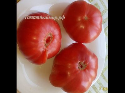 Томат Бабушкин секрет