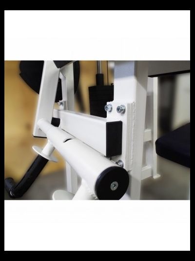 Бицепс-трицепс машина 2 в 1 60 кг AV248/80