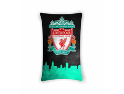 Подушка вертикальная Ливерпуль, Liverpool FC №19