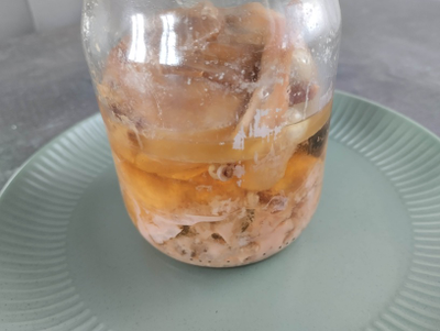 Перепела тушеные в собственном соку. Тушенка из перепелов | ферма СытникЪ