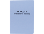 Вкладыш в трудовую книжку  _S