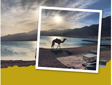 4 in 1 – DAHAB-CANYON + DREI POOLS + KAMELRITT + DAHAB AB SHARM EL SHEIKH
