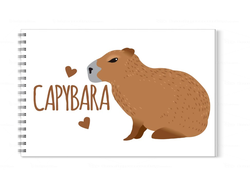Альбом для рисования Капибара, Kapibara-san №5
