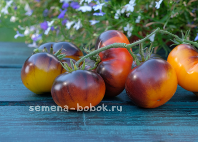 Томат Чупа-Чупс (Chupa Chups) , 10 шт