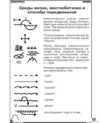 Зоология. Млекопитающие (16 шт), комплект кодотранспарантов (фолий, прозрачных пленок)