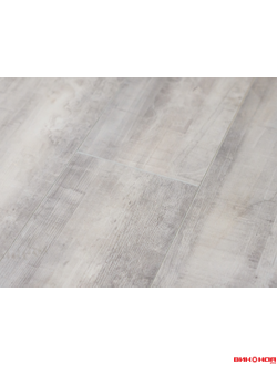 Дуб светлый