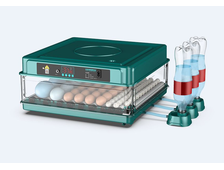 инкубатор для яиц