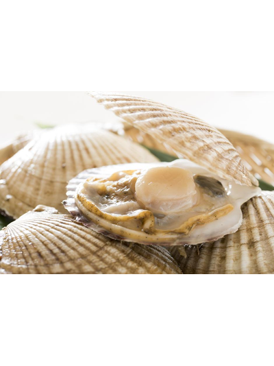 ГРЕБЕШОК НА 2 СТВОРКАХ