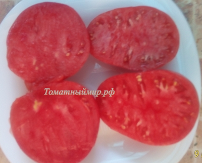 Томат Гордость Грайтмара (Grightmire's Pride) США